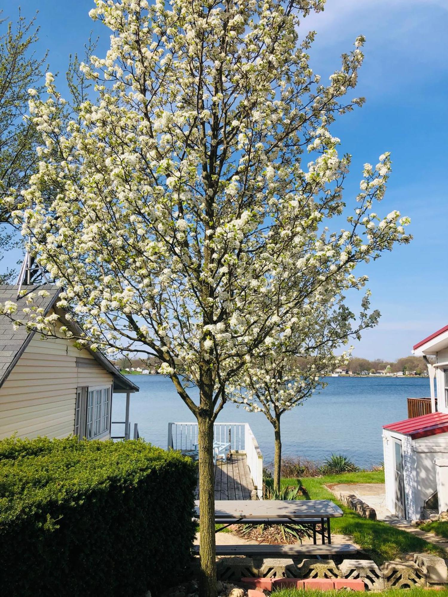 The Wellington Lake Cottage Middlebury Extérieur photo